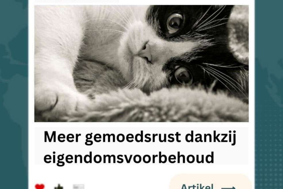 Bizzon Incassobureau Alles over eigendomsvoorbehoud Hoe het te gebruiken en de voordelen ervan