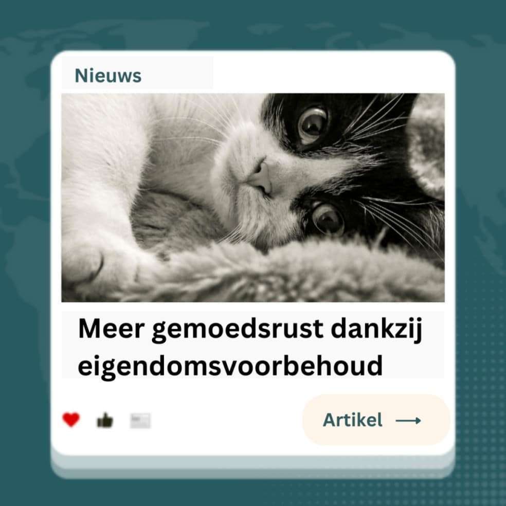 Bizzon Incassobureau Alles over eigendomsvoorbehoud Hoe het te gebruiken en de voordelen ervan