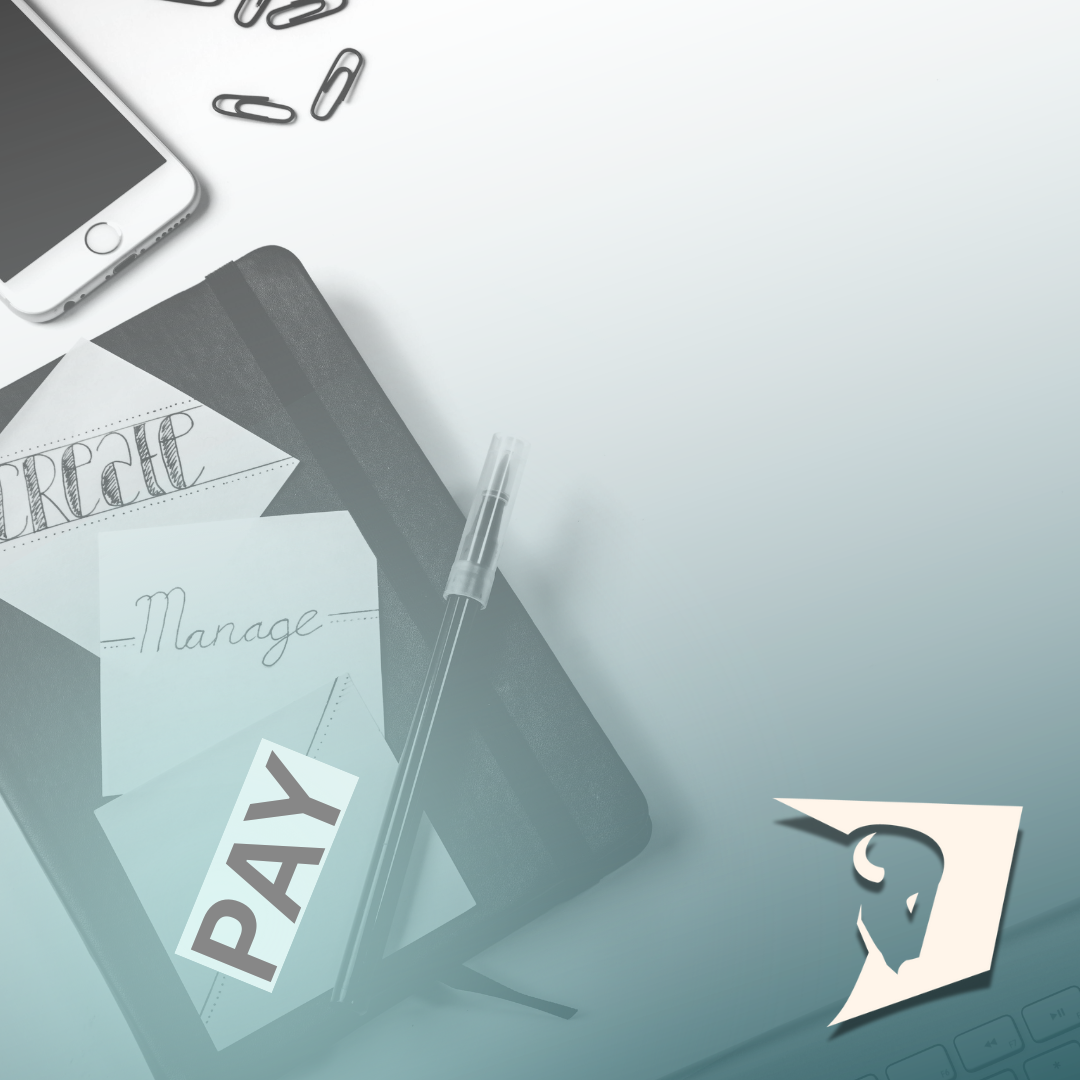 PAY schuldeninning